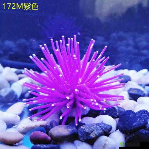 妄想山海紫色鱼缸制作指南:材料与方法全解析