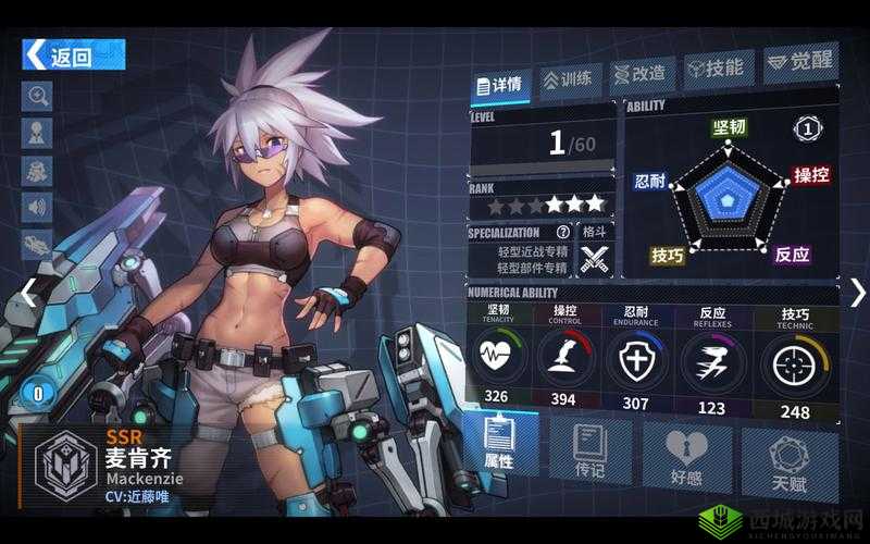重装战姬麦肯齐:深度解析与推荐指南