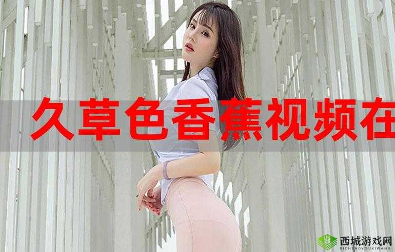 老司机带带我香蕉送给你是什么歌:解析与欣赏