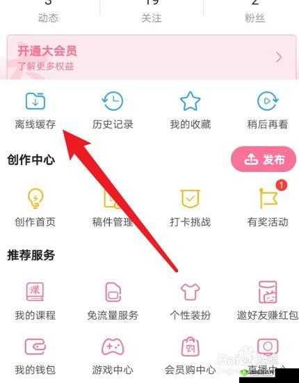 B站视频离线观看技巧:如何下载视频