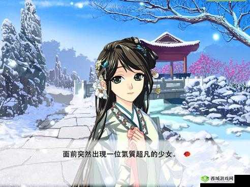 再续红楼梦:旧梦新篇之传奇延续