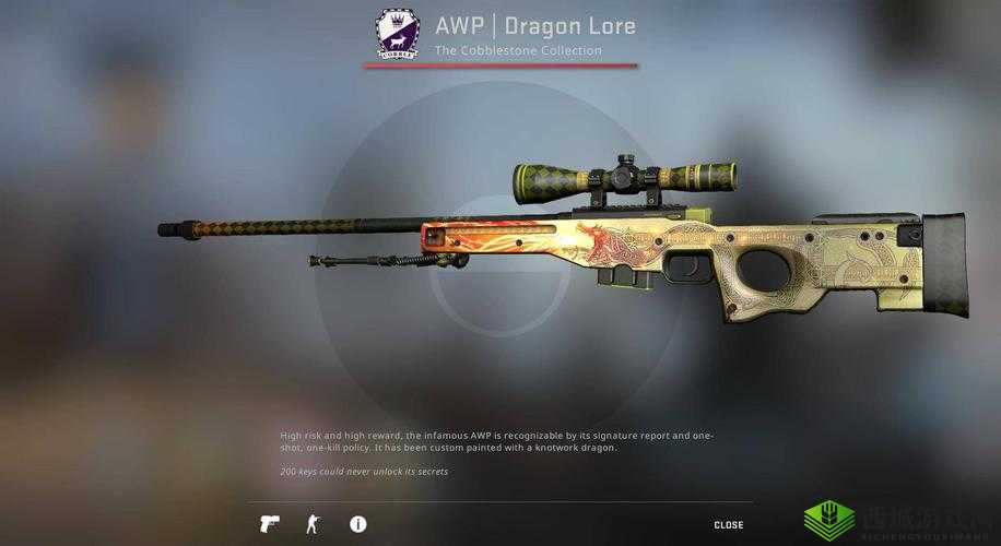 日本 CSGO 大姐姐 AWP 多少钱:它的价值探讨