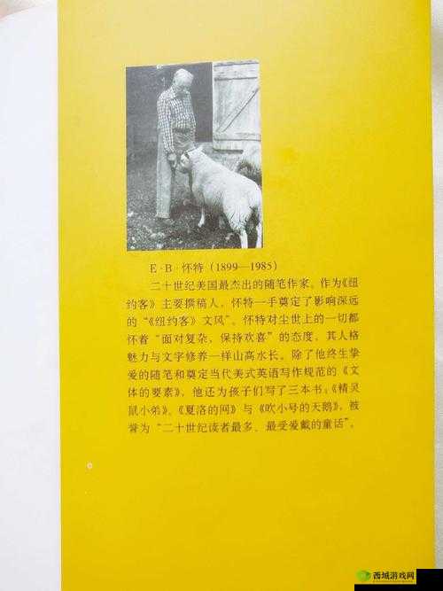 拔萝卜生猴子不盖被子:探索未知的世界