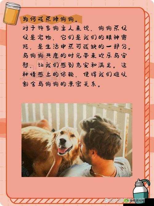 狗狗让我上瘾戒不掉:怎么办