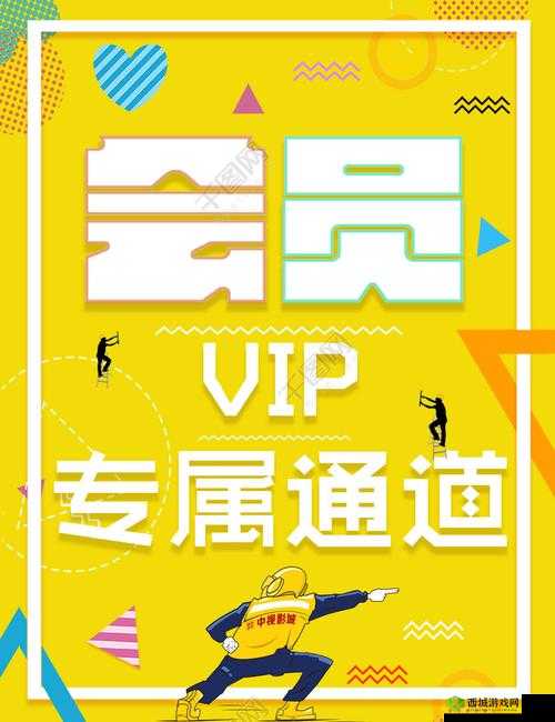 神秘通道 vip5：专属特权等你来