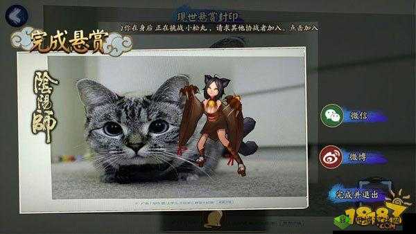 阴阳师命猫神秘信物线索揭秘:猫信物线索图片分享,探寻猫之守护者的奥秘