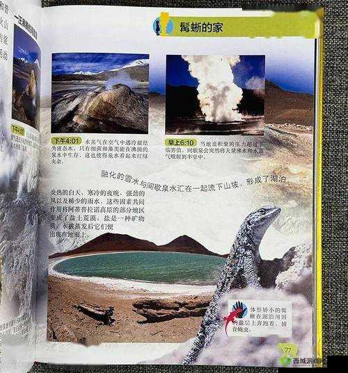 gy3543 三叶草:探索未知的神奇旅程