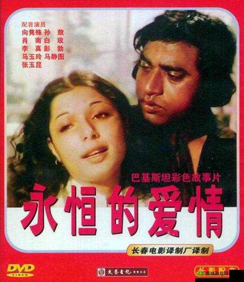 最美情侣中文字幕 MV 电影:永恒的爱情见证