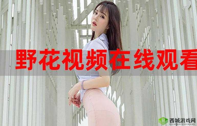 野花视频免费观看高清完整版韩国:精彩呈现