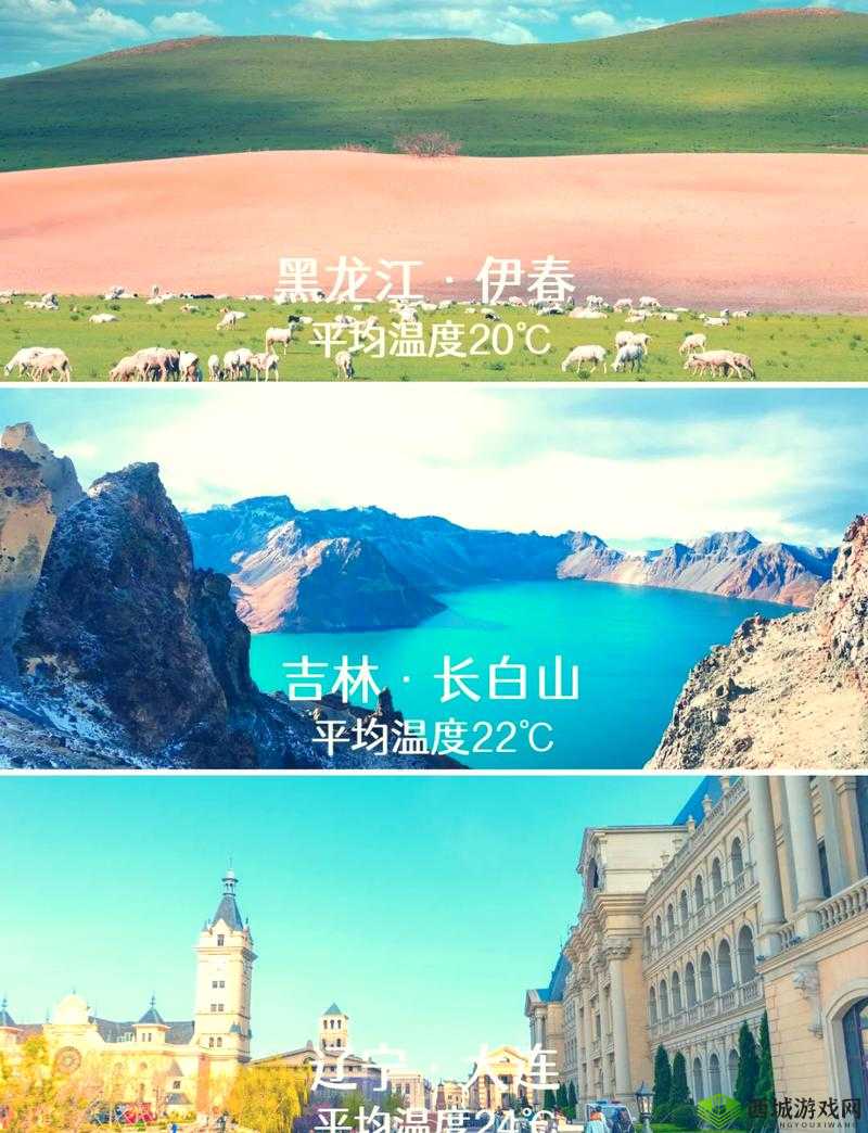 如何进入伊春园 2023：实用指南