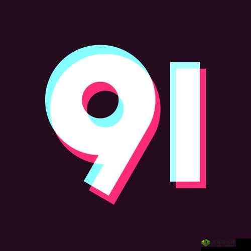 九幺 9.1 旧版安装指南：详细步骤与注意事项