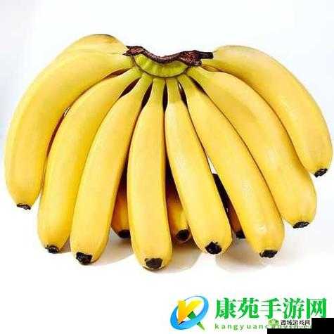 国产香蕉与进口香蕉价格比较:差异究竟在何处