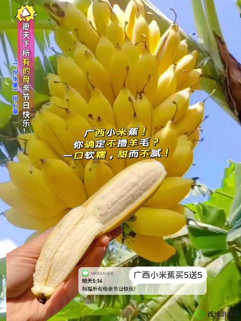 香蕉和忘忧草对焦虑的影响成片已正式发布:揭开焦虑改善的神秘面纱