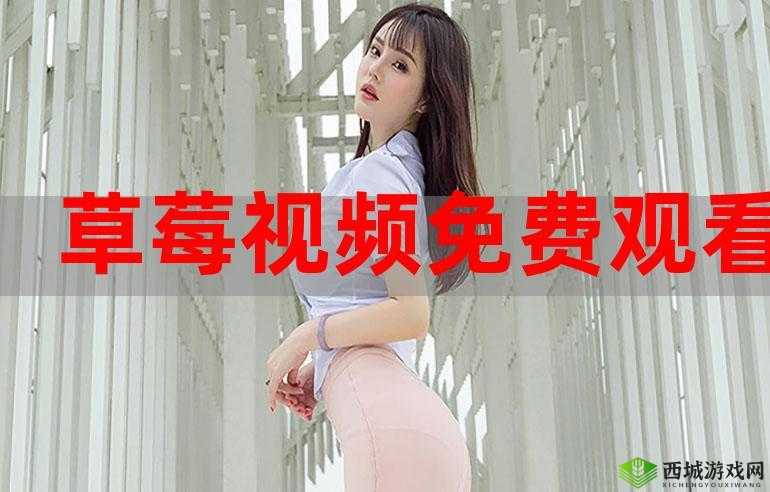 蜜桃视频在线观看:畅享精彩影视的绝佳选择