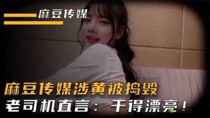 麻豆传煤官网入口在线网站:畅享精彩优质内容