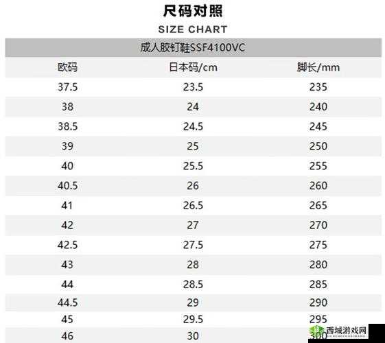 欧洲尺码日本尺码专线美国 t:专业解读与详细对比分析