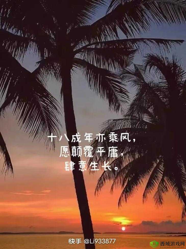 请确保您已年满 18 岁:这是重要的前提条件