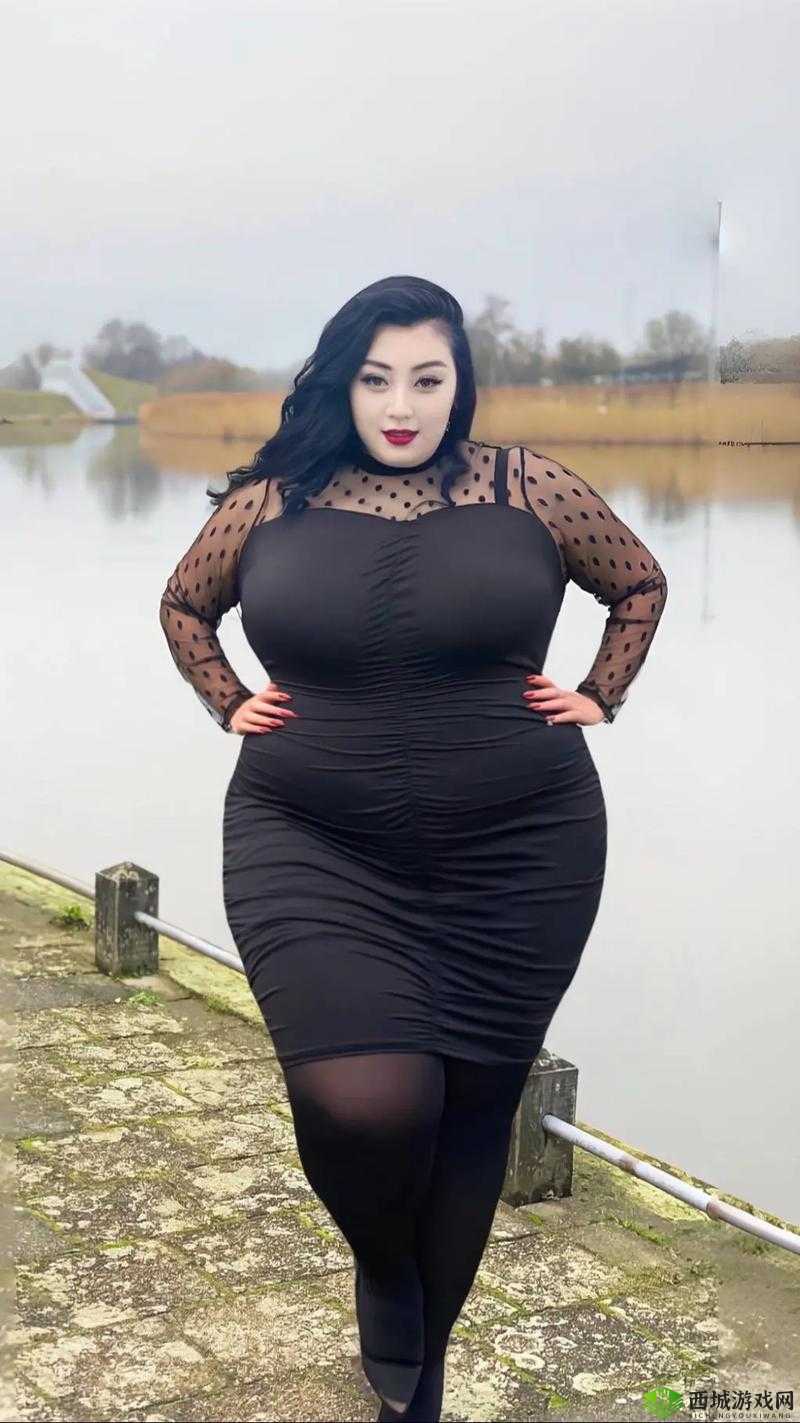 各种女 BBWBBwBBw 么:探寻丰满之美的魅力世界