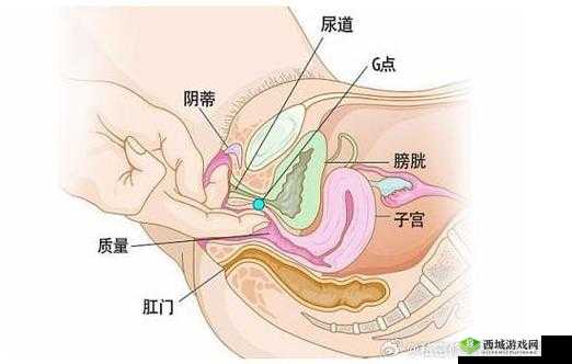 大荫蒂 BB BBBBB 大荫蒂:探索未知的奇妙世界