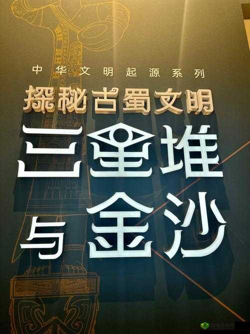 揭秘 kp2028.top:探索背后的神秘世界