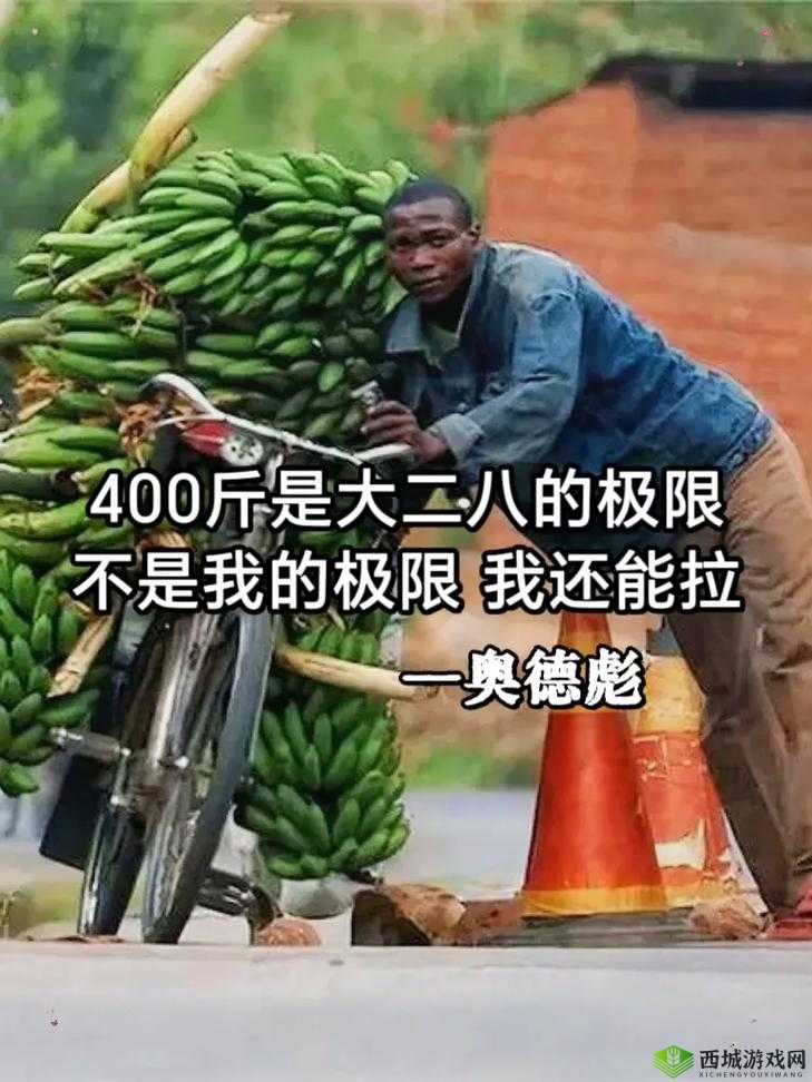 黄品汇香蕉就去干:开启一场别样的奇妙之旅