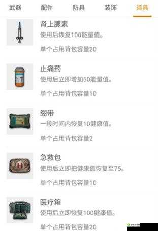 绝地求生刺激战场药品妥善分配,资源管理中的关键策略