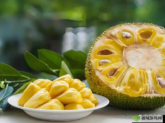 菠萝菠萝蜜高清视频:带你领略热带水果的甜蜜风情