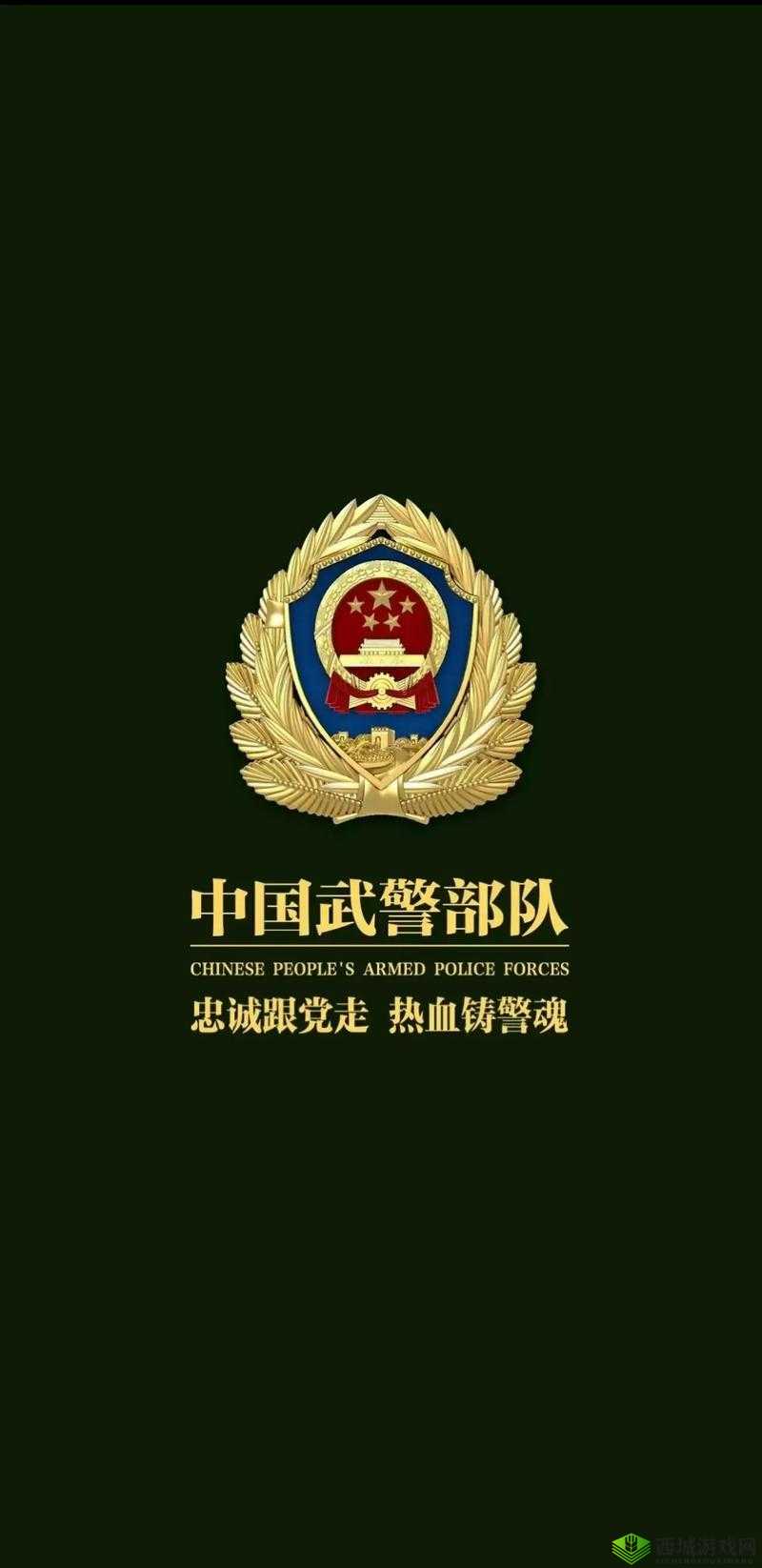 中国 ChinaGary 武警:守护国家安全的钢铁长城