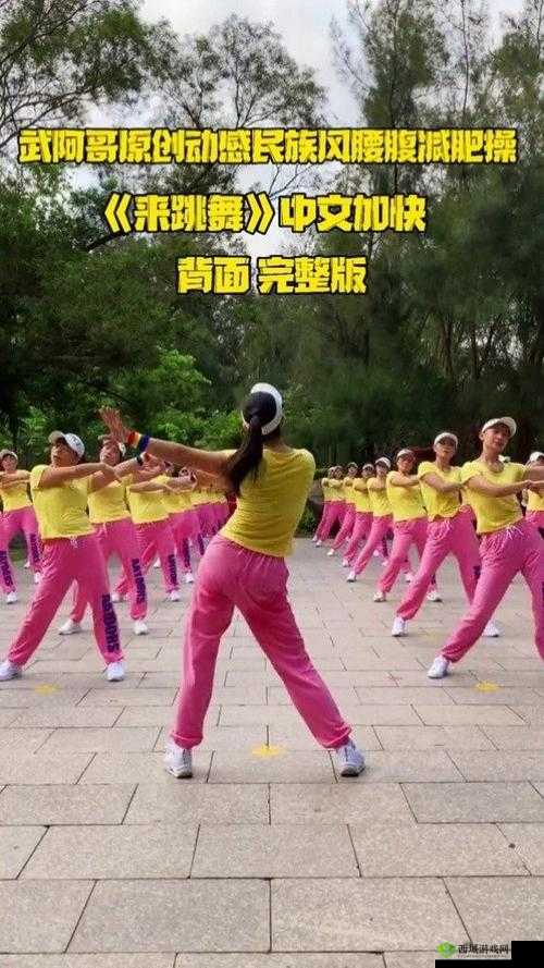 一个热爱跳舞的胖老太太:BGMBGMBGM