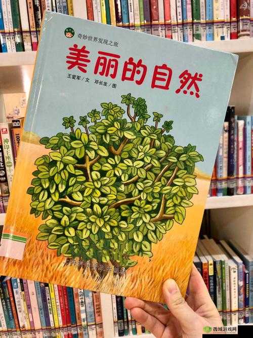 三叶草 gy4656 :带你领略独特的自然魅力之旅