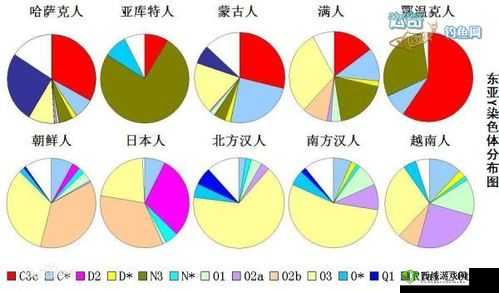 亚洲人与欧洲人染色体的区别:深入探究基因差异之谜