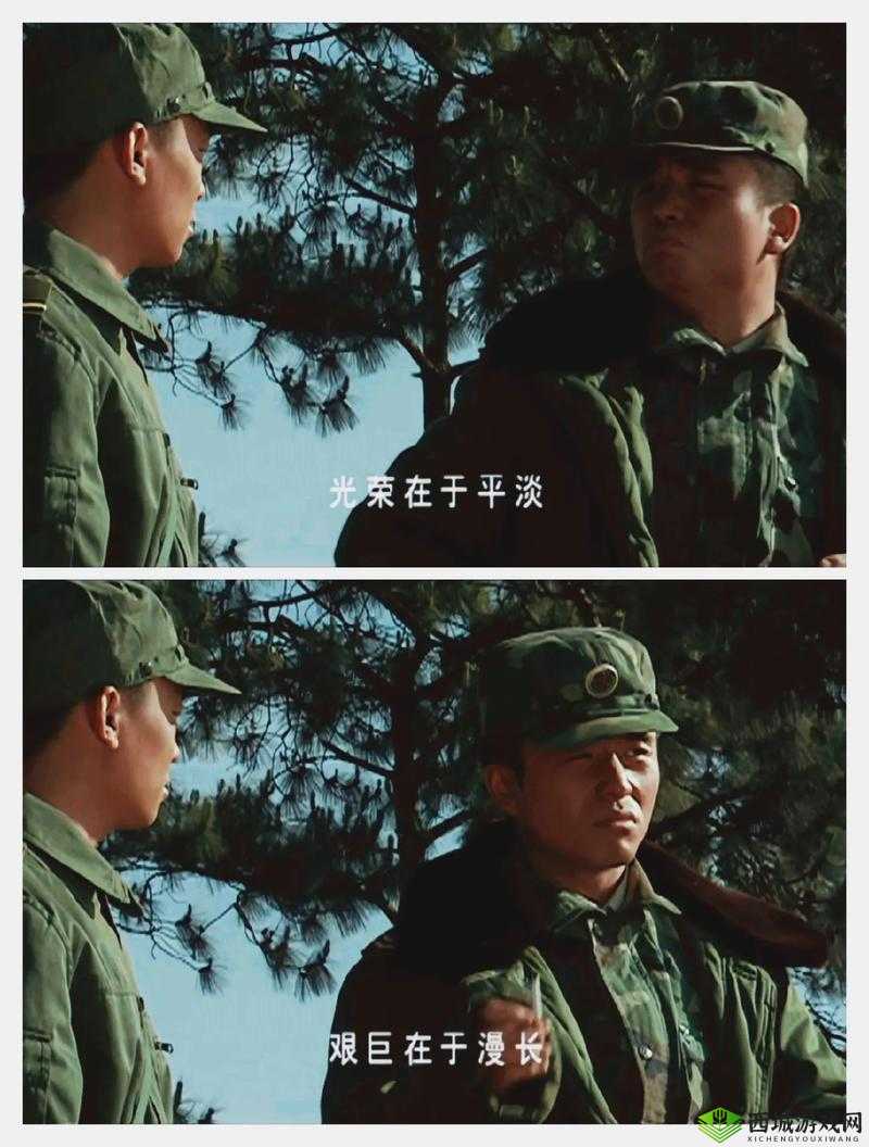 高清 DVD 碟片生活片:记录平凡日子中的精彩瞬间