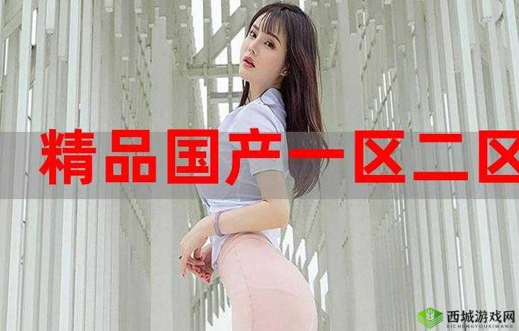 国精产品一码二码三M:探索数字背后的精彩世界