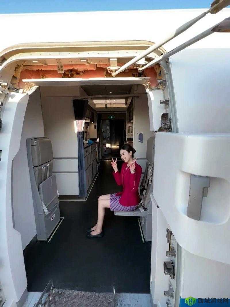 91 风月海棠空姐:神秘空姐的别样故事