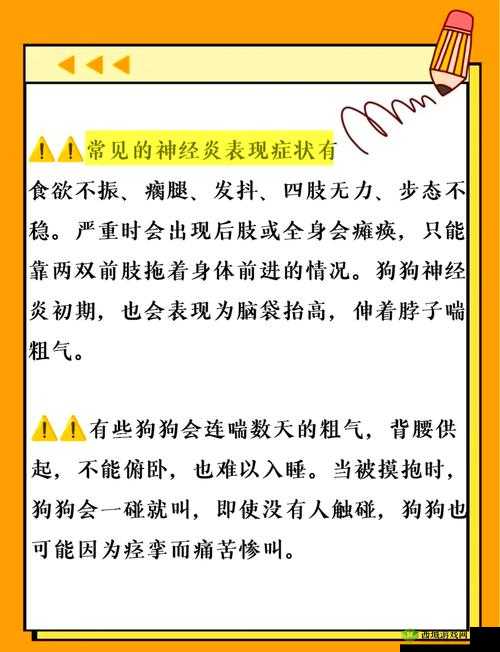 人狗胶配方大全狗狗使用:详细解析与实用指南