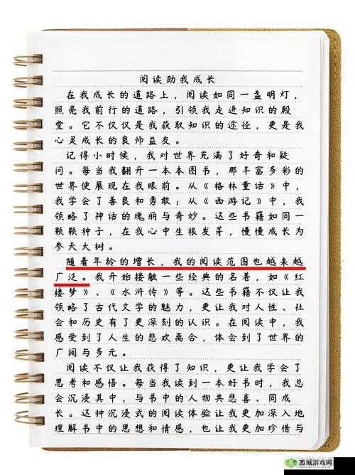 老孙头的春天马强:一个充满故事和情感的独特存在
