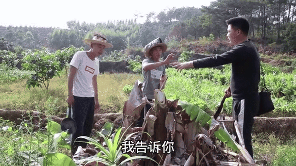芭蕉兄弟访谈免费观看:精彩内容不容错过