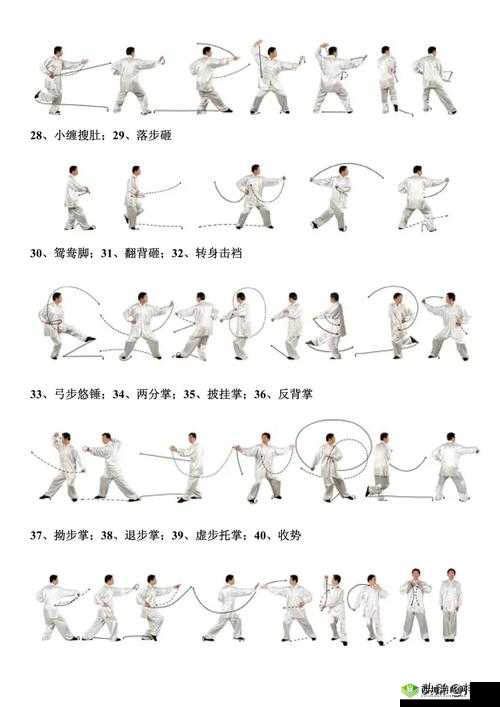 掌握八式太极拳口令的完整指南:轻松学习每一步动作要领